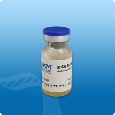 白色念珠菌CMCC(F)98001