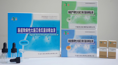 肠道致病性大肠艾希氏菌诊断血清